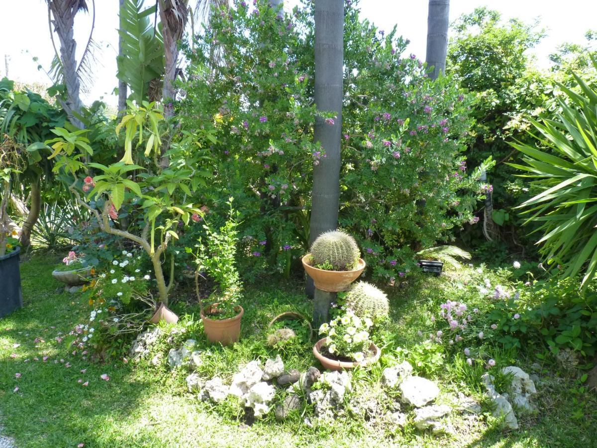 Holidaysora Taormina - Il Giardino Di Graziella Extérieur photo